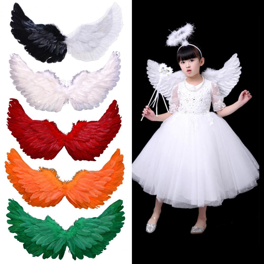 Angel Wings Colorful Feather W - đánh giá và giá Photography Year