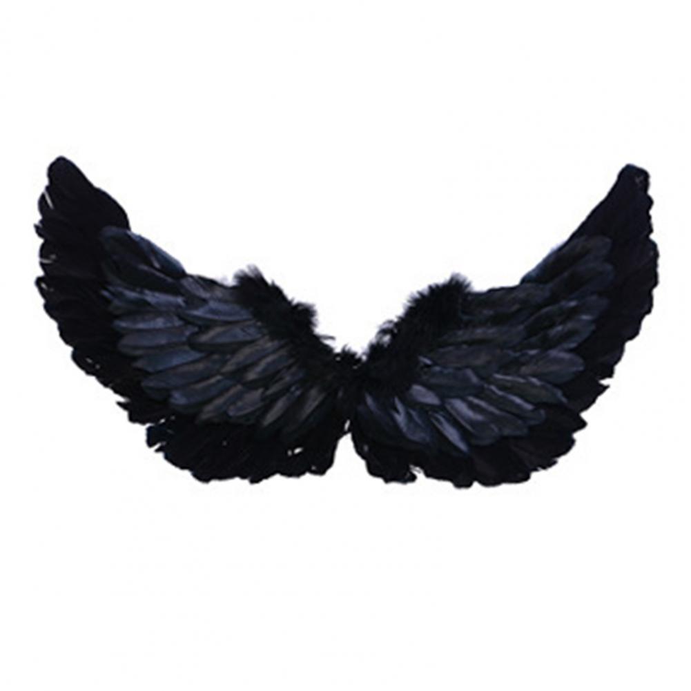 Angel Wings Colorful Feather W - đánh giá và giá Photography Year