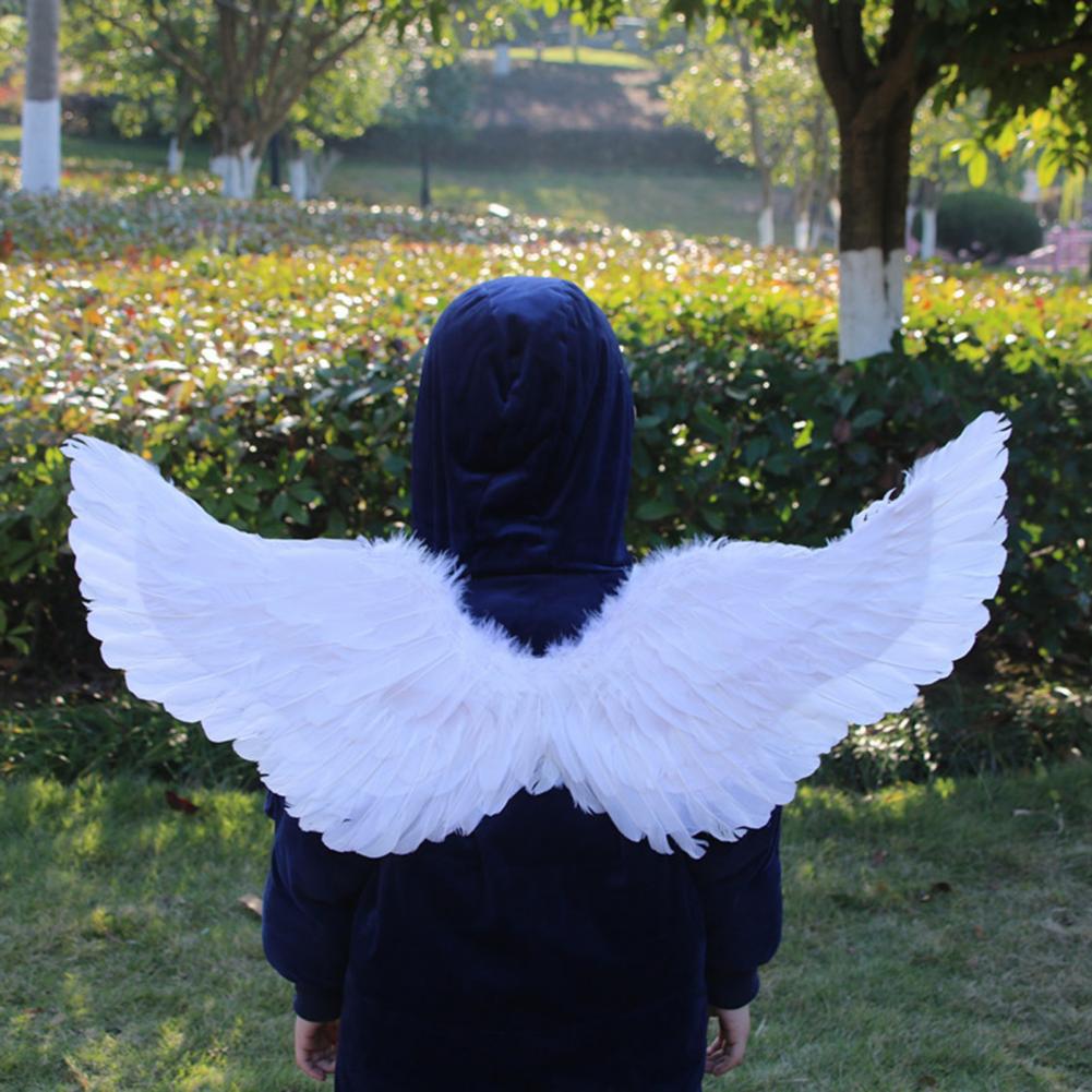 Angel Wings Colorful Feather W - đánh giá và giá Photography Year
