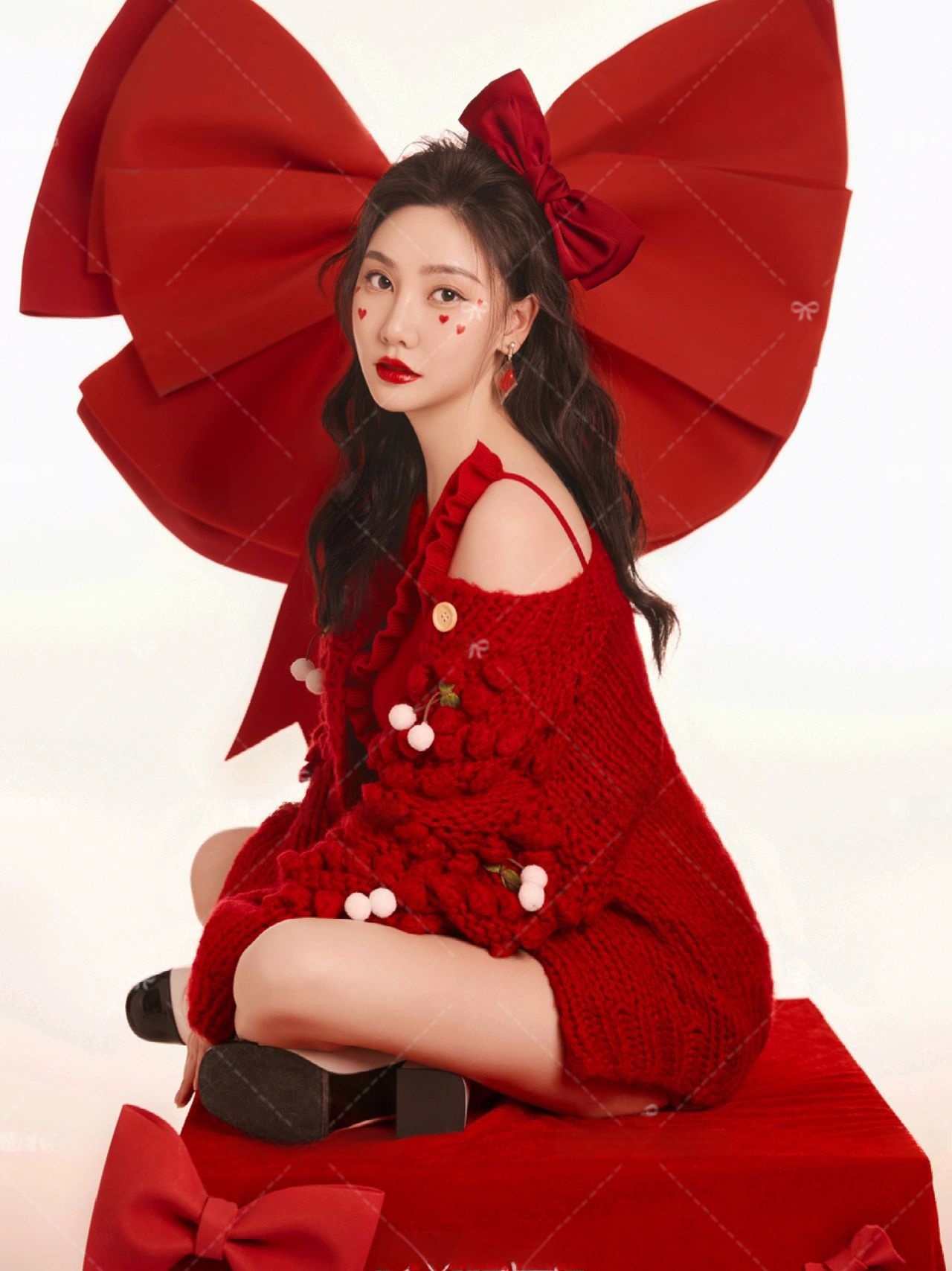 Red Sweater Christmas Theme Ne - đánh giá và giá Photography Year