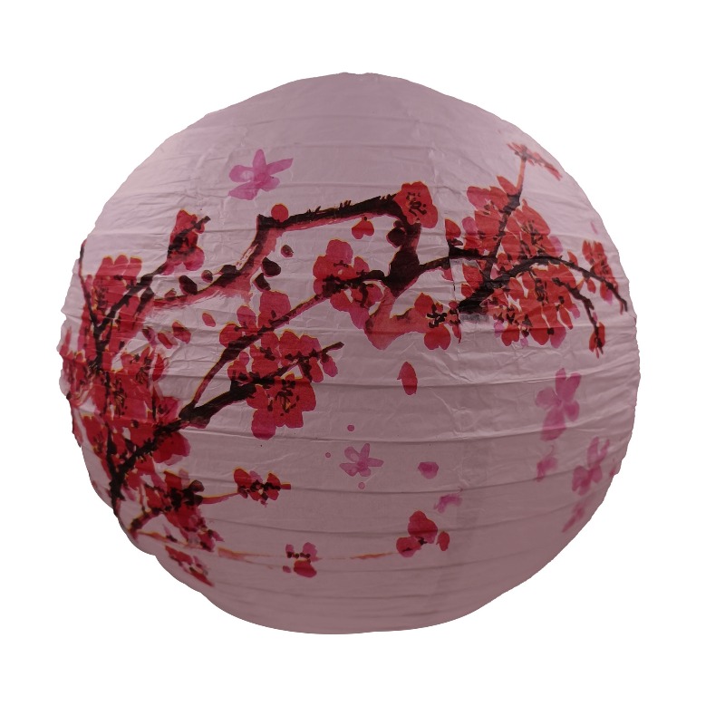 30cm Printed Paper Chinese Sty - đánh giá và giá Photography Year