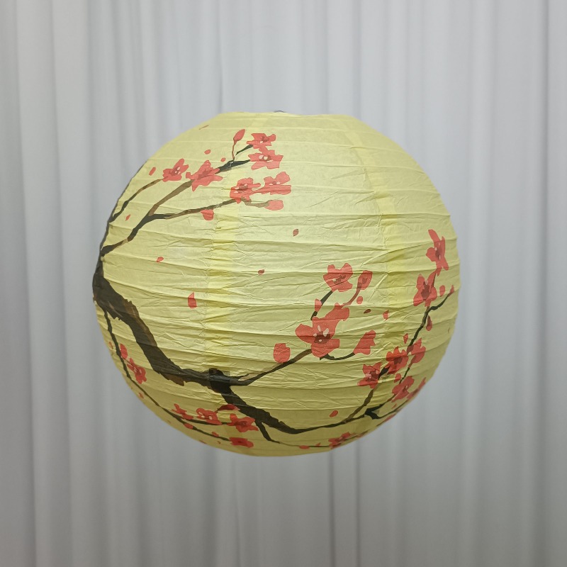30cm Printed Paper Chinese Sty - đánh giá và giá Photography Year