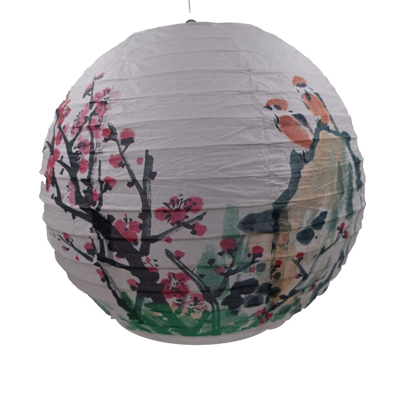 30cm Printed Paper Chinese Sty - đánh giá và giá Photography Year